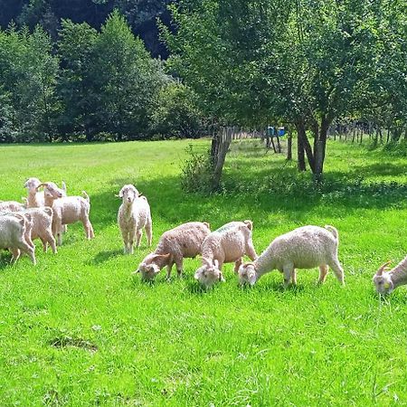 Au Mohair Des Alpy Fougax-et-Barrineuf Exterior foto